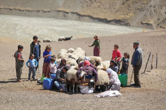 Yaylaların büyütüp beslediği insanlar çadırda yaşamlarını sürdürüyorlar